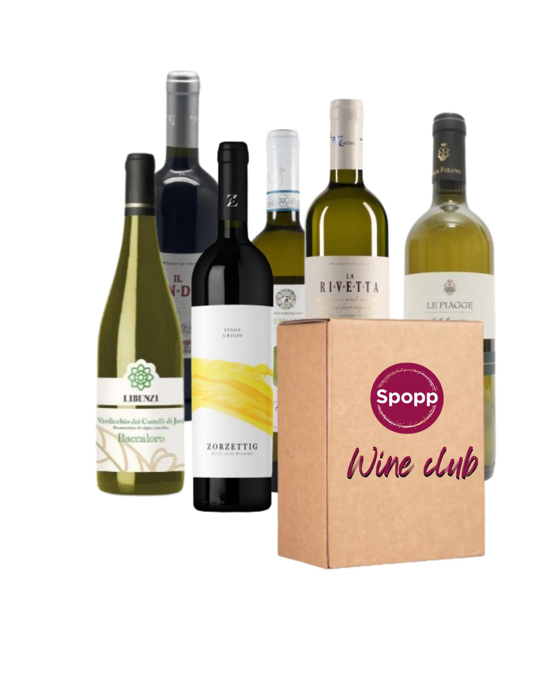 Wine box bottiglie vini di facile beva