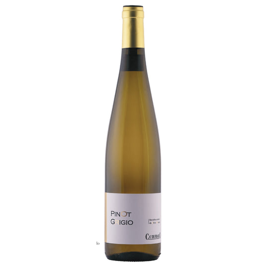 Pinot Grigio aus Oltrepo Pavese DOP 750ml - 13,5%